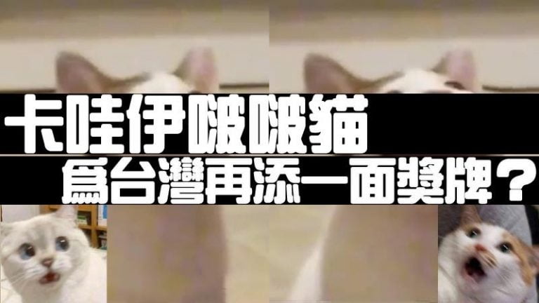 【Popcat是什麼】快報！卡哇伊啵啵貓為台灣再添一面金牌！！這個台灣迷因貓究竟是…？